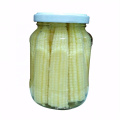 Canned baby corn in brine
